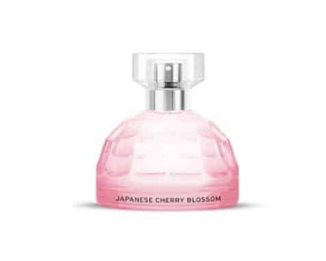 The-Body-Shop-Japanese-Cherry-Blossom